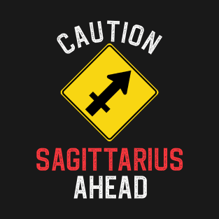 Funny Zodiac Horoscope Sagittarius Road Sign Traffic Signal T-Shirt