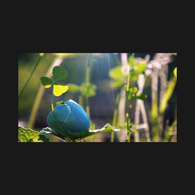 Cracked Blue Bird Egg on a Leaf by 1Redbublppasswo