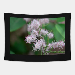 Black Fly On Pink Flower Tapestry