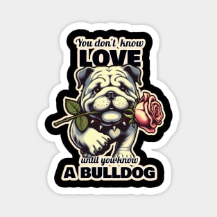 Bulldog Valentine"s day Magnet