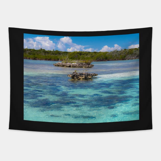 Blue Lagoon Tapestry by algill