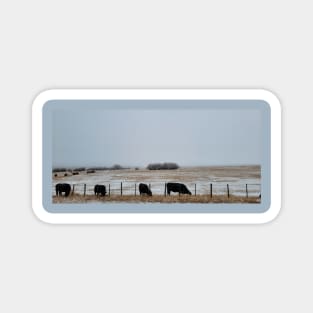 Cows in the Mist 2 Magnet