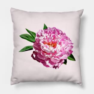 One Pale Pink Peony Pillow