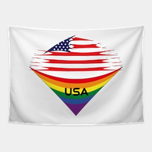 USA pride flag Tapestry