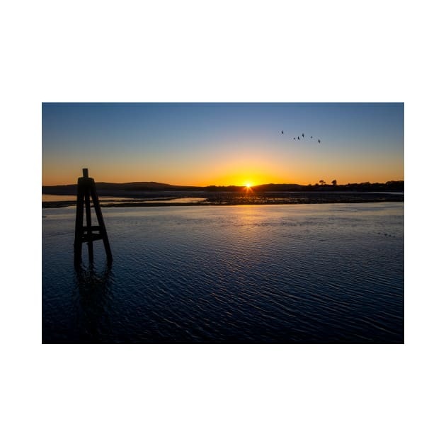 Sunset Bodega Bay Low Tide by photogarry