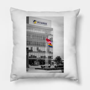 Humber College, Toronto Canada 2 Pillow