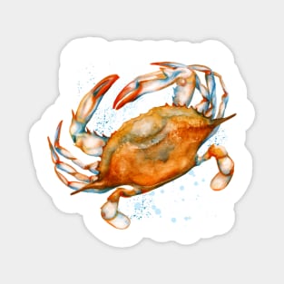 Watercolor soft shell crab Magnet