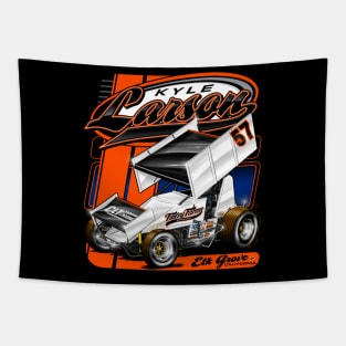 KYLE LARSON Tapestry