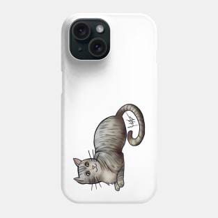 Cat - American Shorthair - Gray Tabby Phone Case