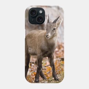 Baby Ibex Phone Case