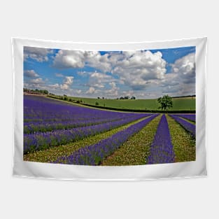 Lavender Field Purple Flowers Cotswolds England Tapestry