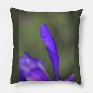 Iris Purple Long Petal Pillow