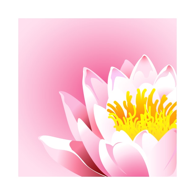 Dreamy Lotus Blossoms by Makanahele