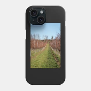 Autumn in the vineyards Phone Case