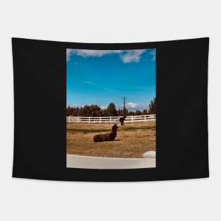 Alpaca Sunshine Tapestry