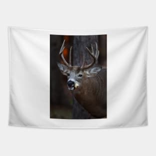 Gotta love corn - White-tailed Deer Tapestry