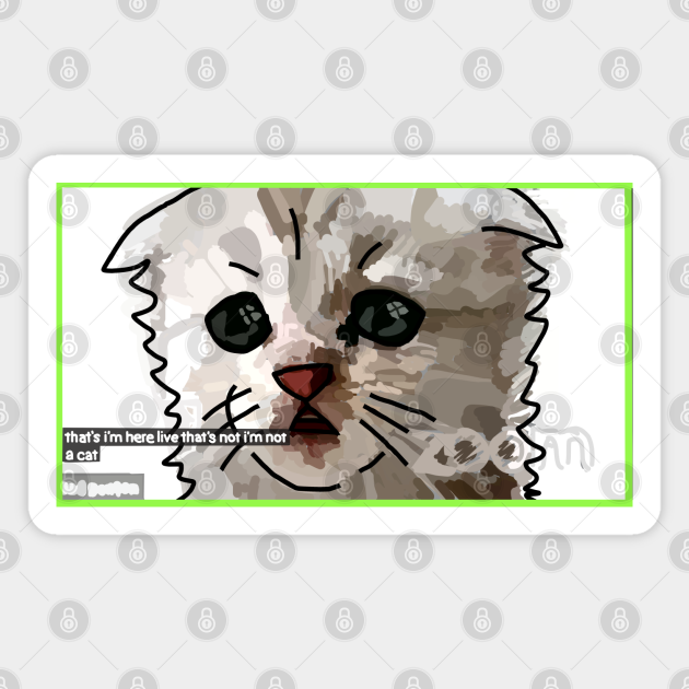 Zoom Cat Says I Am Not A Cat Cat Magnet Teepublic Zoom Cat Says I Am Not A Cat Cat Magnet Teepublic