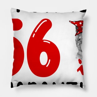 I Turned 56 In Quarantine Funny Cat Facemask Pillow