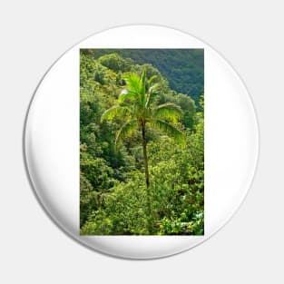 Iao Valley State Monument Study 3 Pin