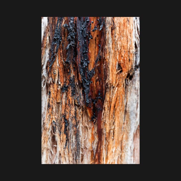 Vibrant Tree Oozing Sap From Trunk - Alternative III by textural