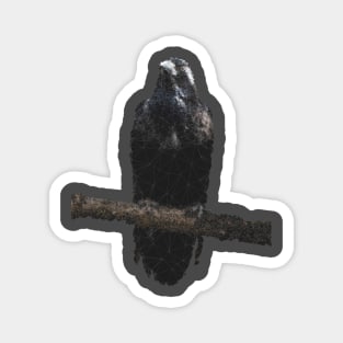 Low Poly Crow Magnet