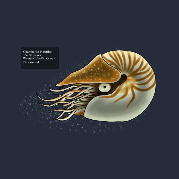 Chambered Nautilus by steelwingakira