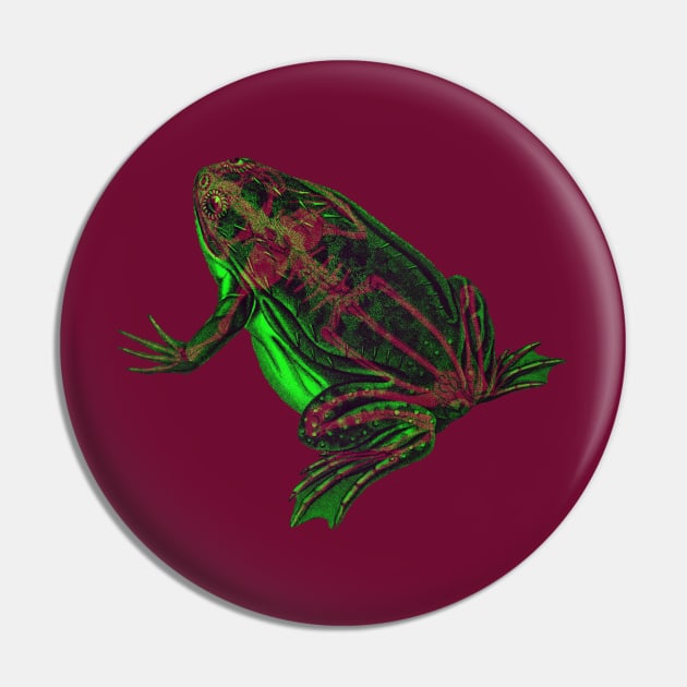 Skeleton Frog Interactive Magenta&Green Filter #2 By Red&Blue Pin by RedAndBlue