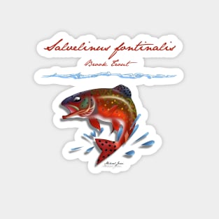 Salvelinus Fontinalis Magnet