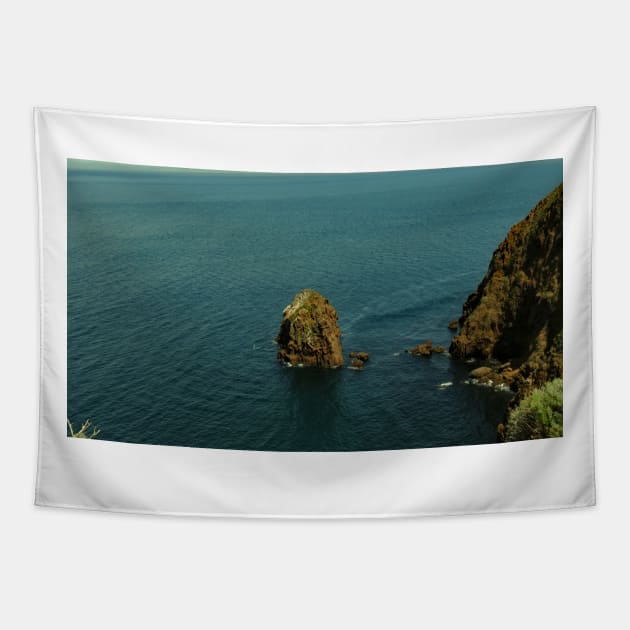 Channel Islands National Park Santa Cruz Island Tapestry by supernova23