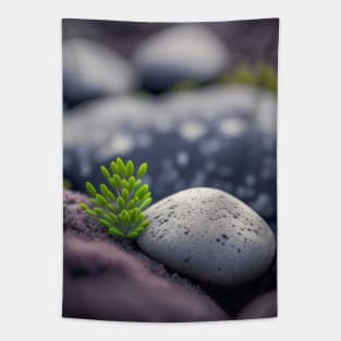 Leaves Pebbles Calm Tranquil Nature Peaceful Season Outdoors Tapestry