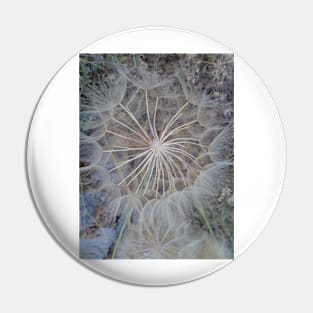 Wild Mandala Pin