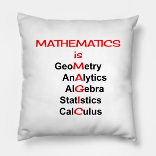 Mathematics is Magic Pillow