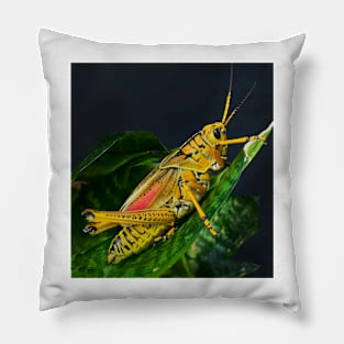 Southern Lubber Grasshopper Pillow