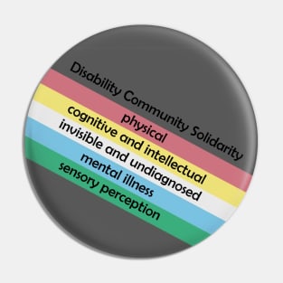 Disability Community Solidarity Flag Pin