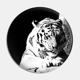 Year of the tiger 2022 - 2 Pin