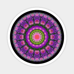 Mandala Magic - Daily Focus 4.6.2023 B Magnet