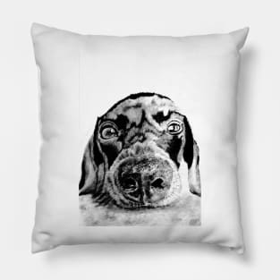Dachshund (sausage dog) Pillow