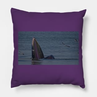 THE FIGHT FOR ANCHOVY Pillow