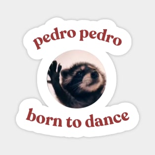 Pedro Born To Dance Raccoon Funny Meme Magnet