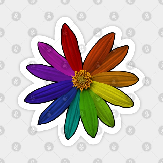 Flower Color Wheel Rainbow Magnet by Pinkazoid