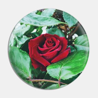 Red Rose Pin