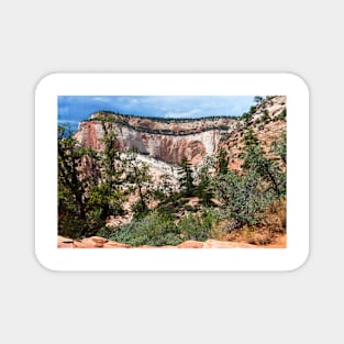 Scenic Zion - Mount Carmel Highway  Drive 8 Magnet