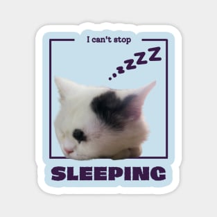 I can't stop sleeping Magnet