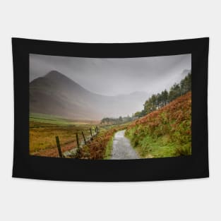 Warnscale Bottom Tapestry