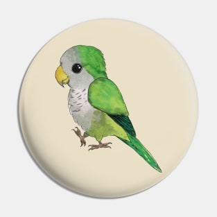 Very cute green parrot Pin