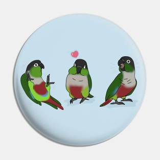 Three Green Cheeked Conure doodles Pin