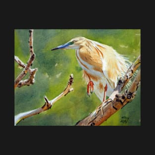 Squacco Heron T-Shirt