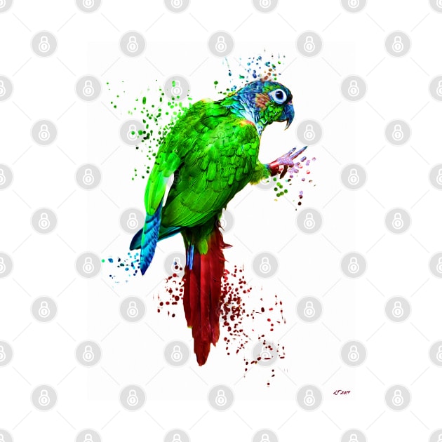 Parrot Painted by danieljanda