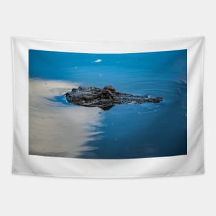 Swimming Alligator Tapestry