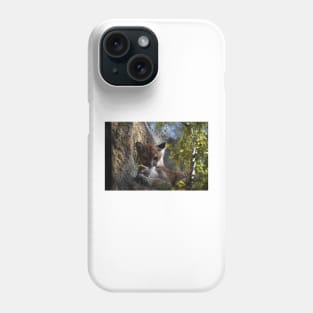 Mountain Lion Phone Case